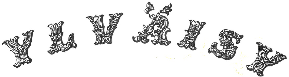 Ylvaisy logo.jpg
