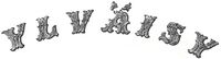 Ylvaisy logo.jpg