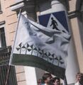 Eiran Vihervillit-lippu.jpg